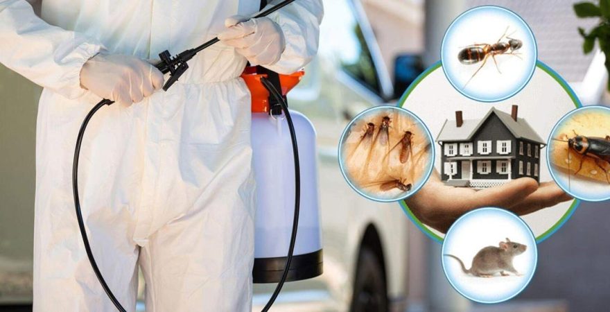 Hacılar Böcek İlaçlama