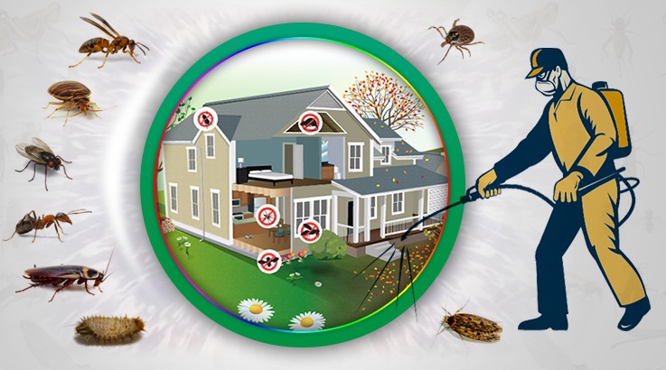 Hacılar Böcek İlaçlama