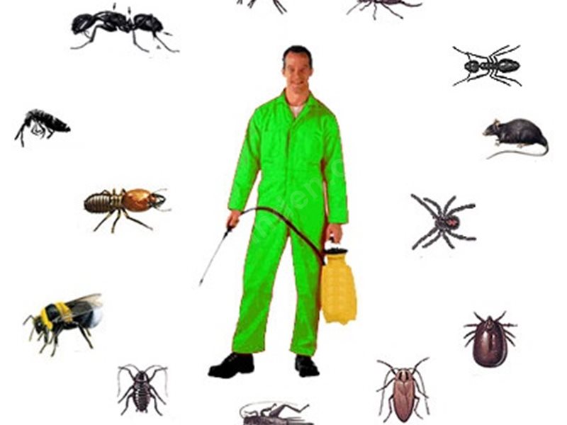 Hacılar Böcek İlaçlama